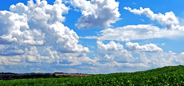 Plantation road clouds