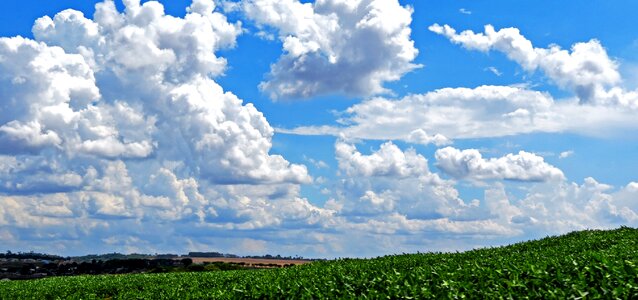 Plantation road clouds photo