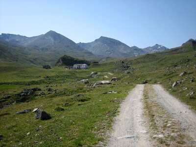 Nature austria stones