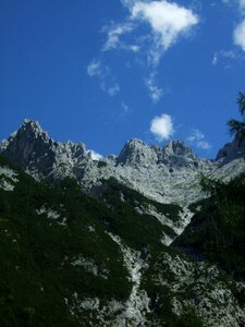 Blue nature alpine