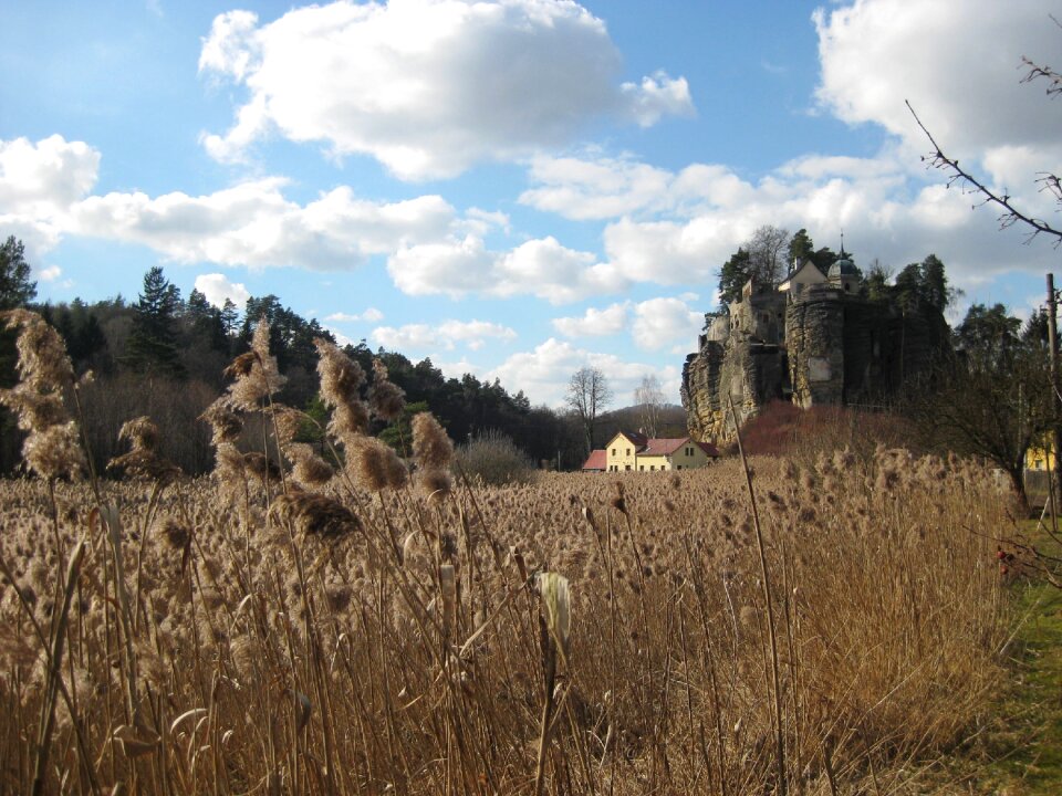 Autumn landscape dry