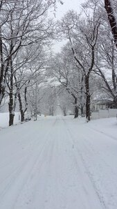 Peaceful season landscape