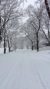 Peaceful season landscape photo