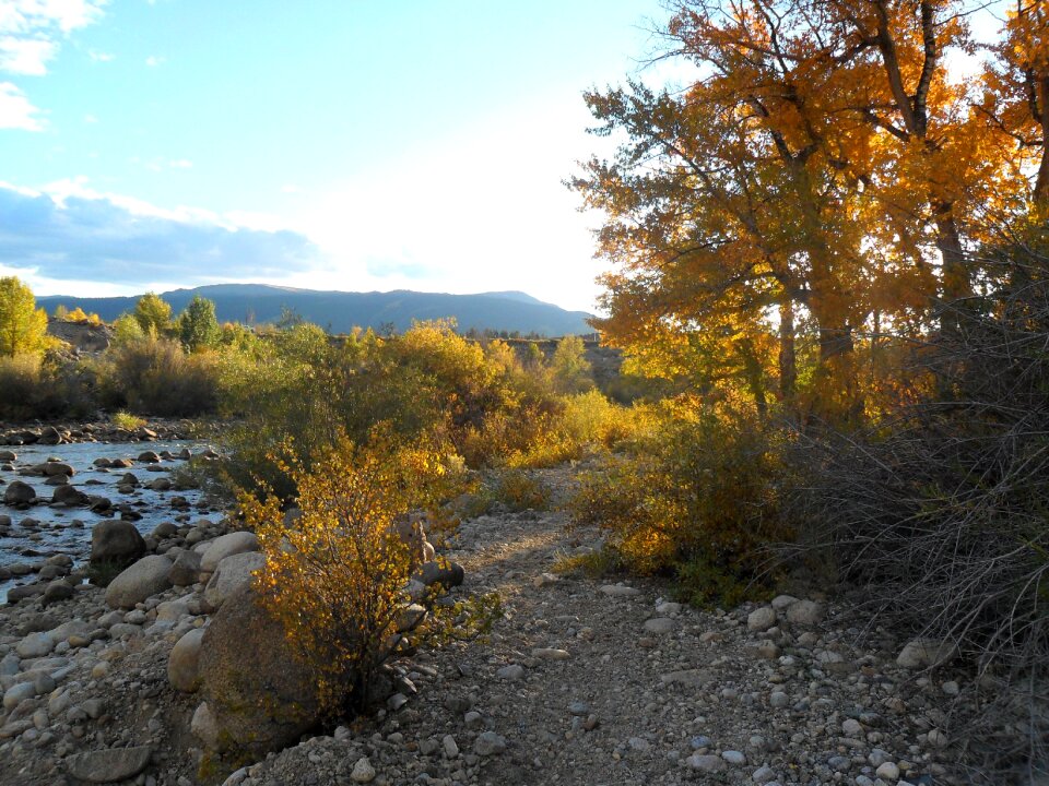 Scenery season fall