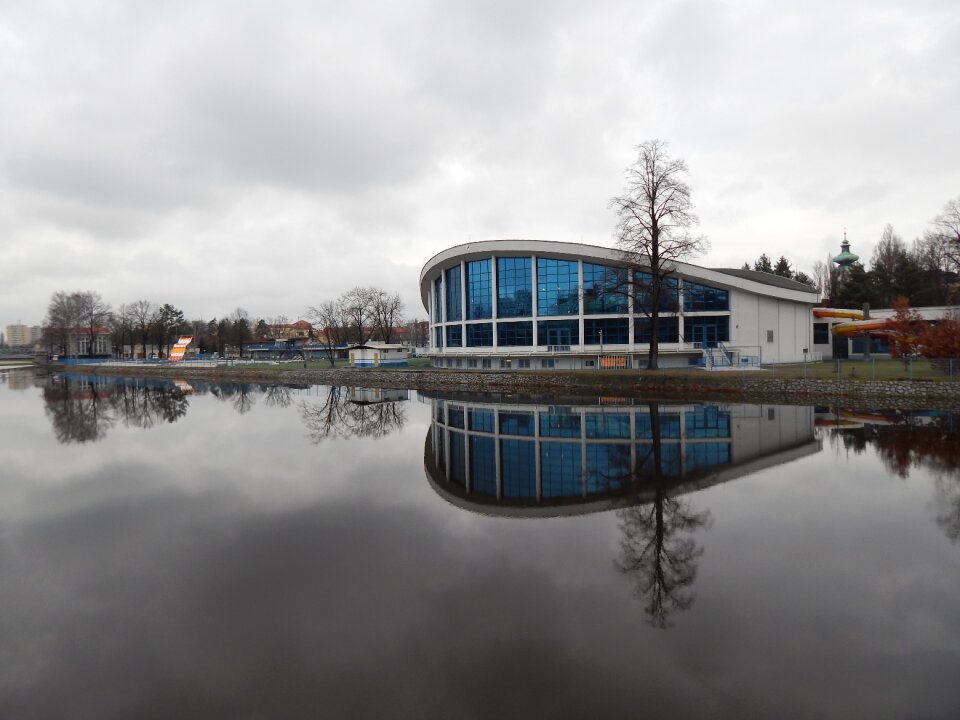 Water trees mirror