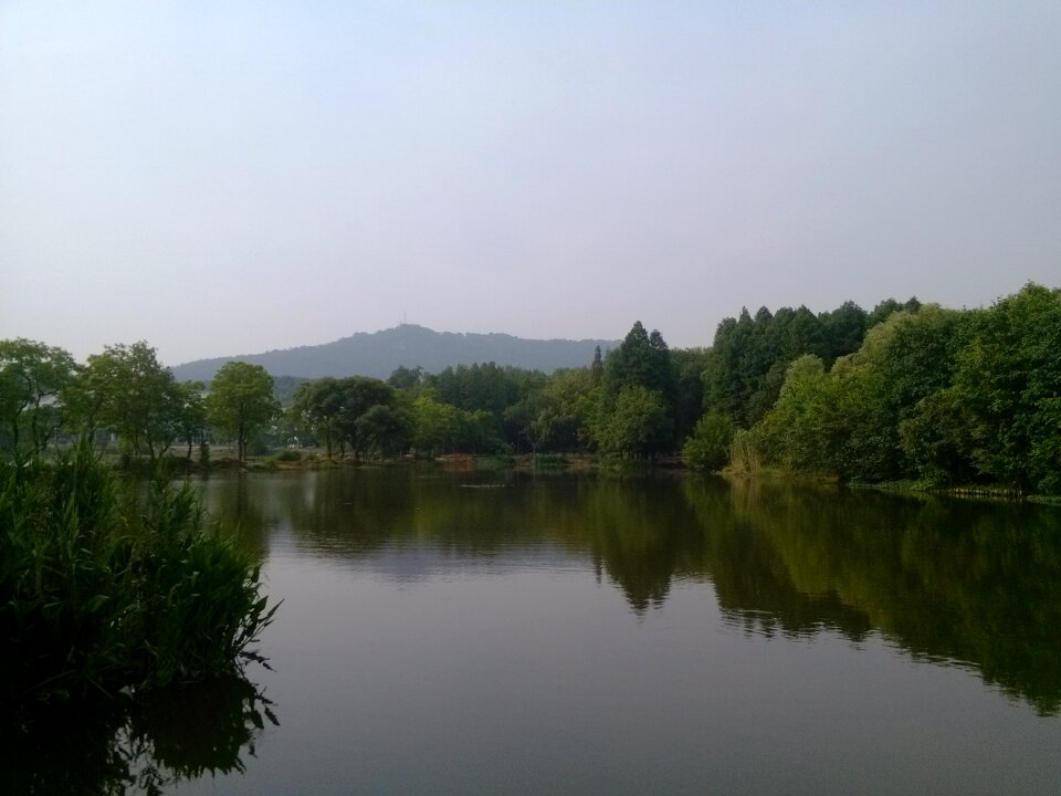 The scenery landscape the wild