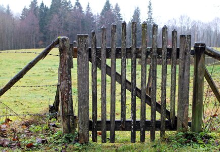 Input access wood