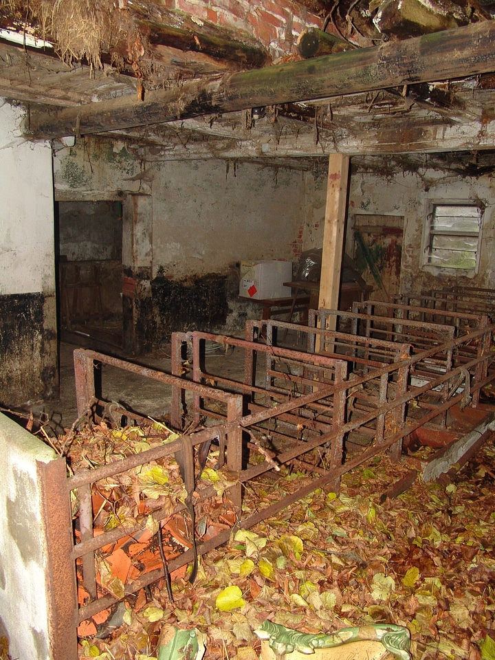Renovation old building swine barn
