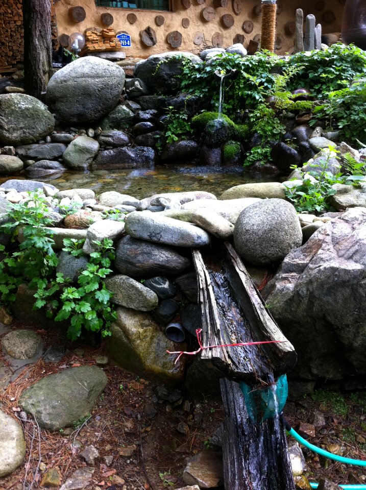 Pond flower gardens hanok