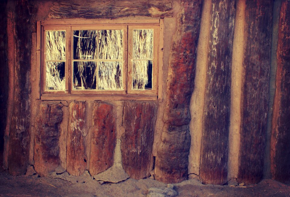 Window wall wood