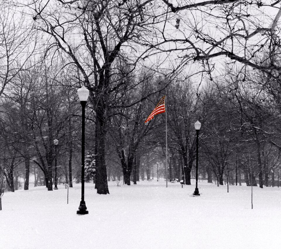 Snow winter