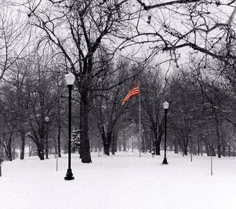 Snow winter
