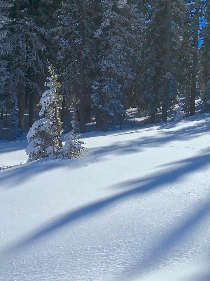 Winter season cold