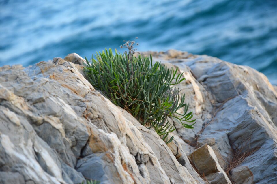 Nature croatia holidays