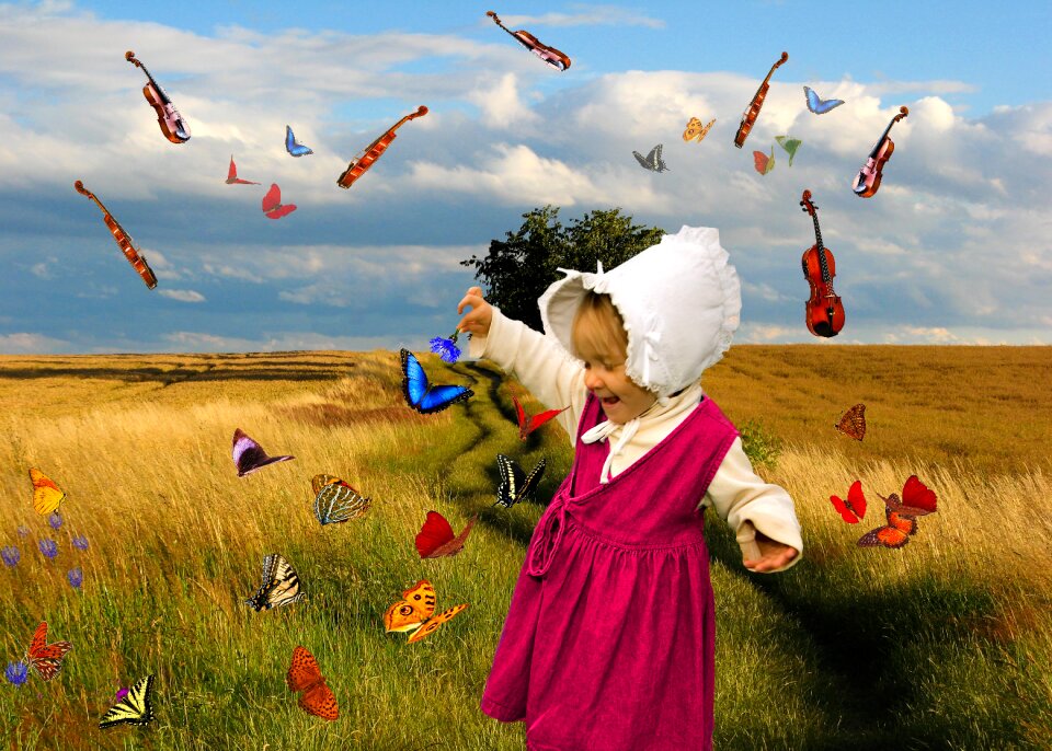 Girl violin butterfly