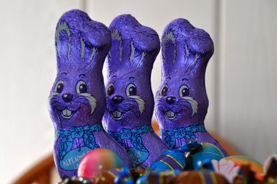 Purple candy chocolate bunny