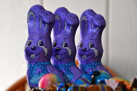 Purple candy chocolate bunny photo