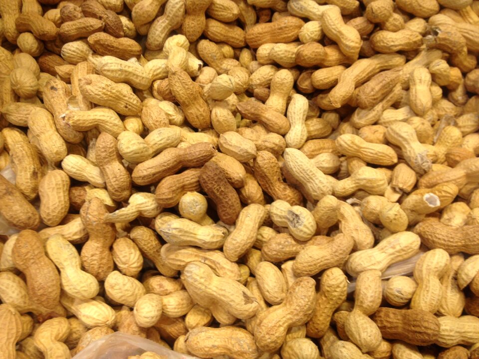 Legume healthy delicious