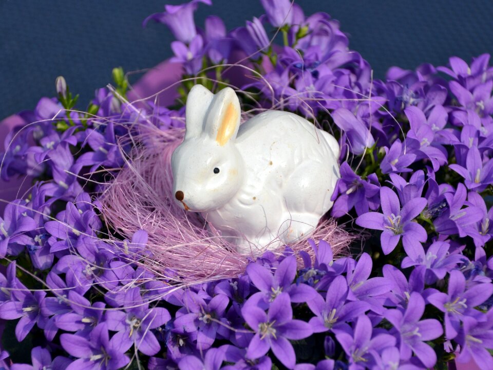Easter bunny spring decorative