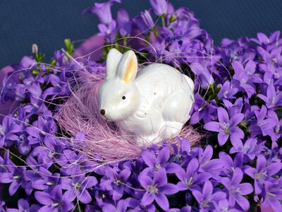 Easter bunny spring decorative