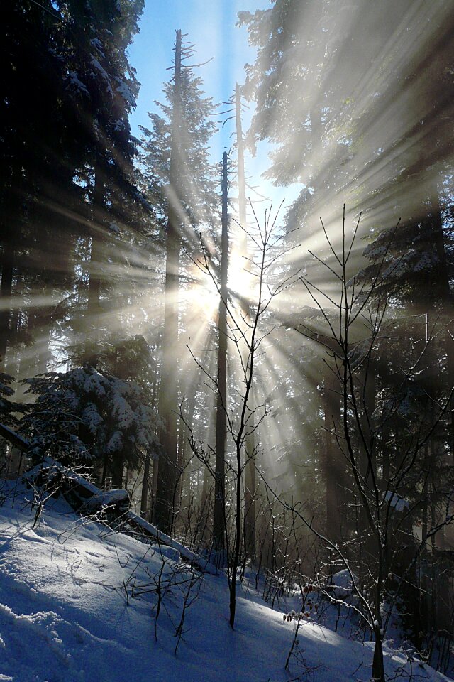 Corona morning sun new year