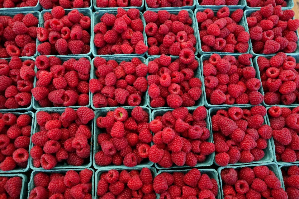 Fruit fresh sweet
