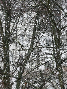 Blizzard winter flake photo