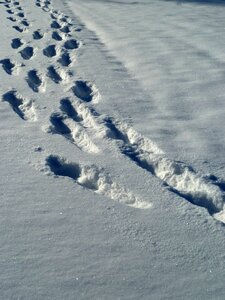 Snow lane wintry trace