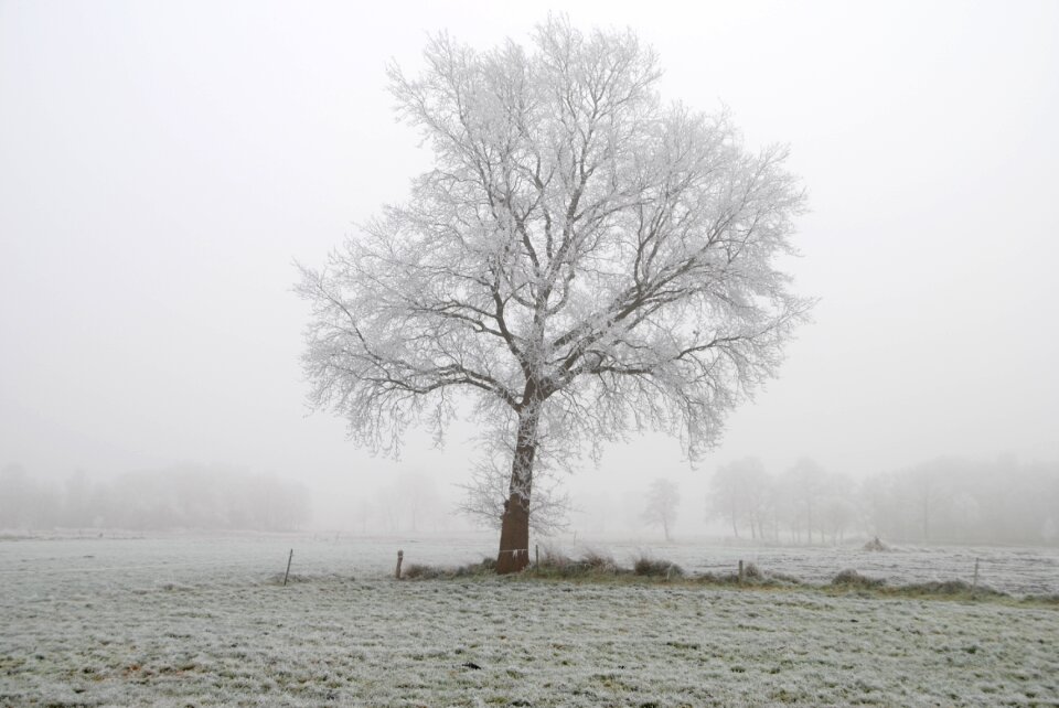 Wintry cold winter magic