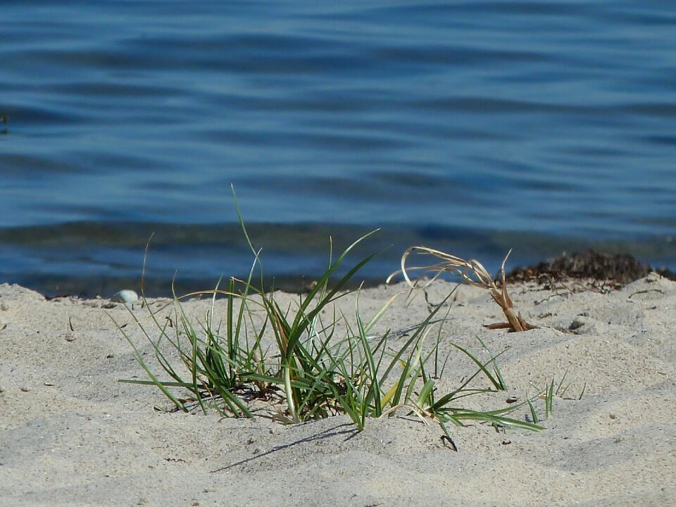 Water sand beach vacations