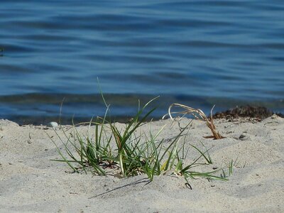 Water sand beach vacations photo