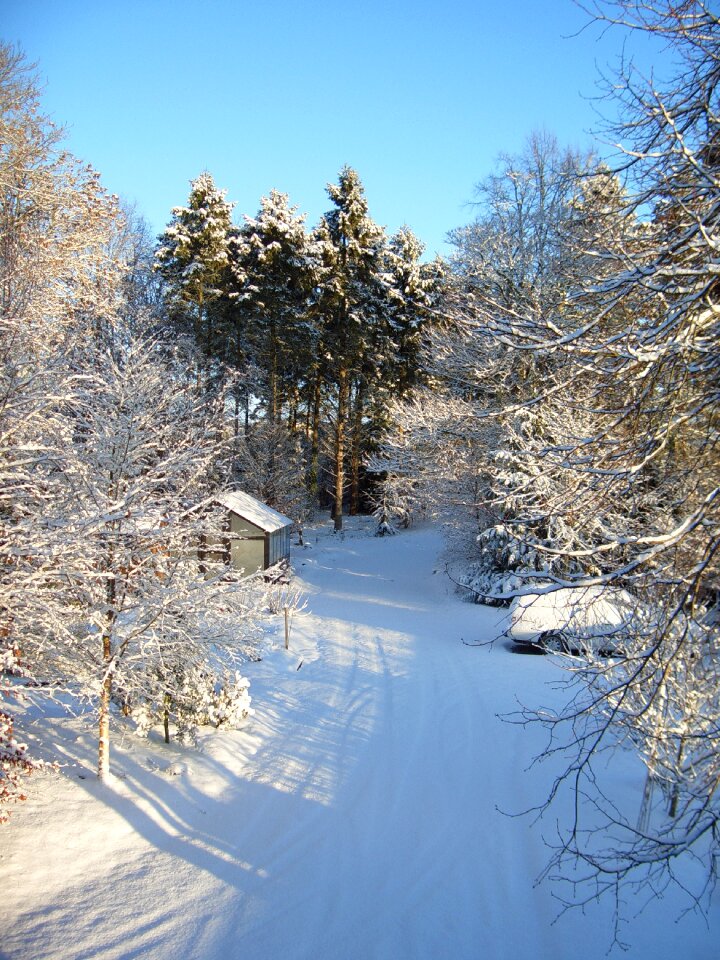 Cold season frost