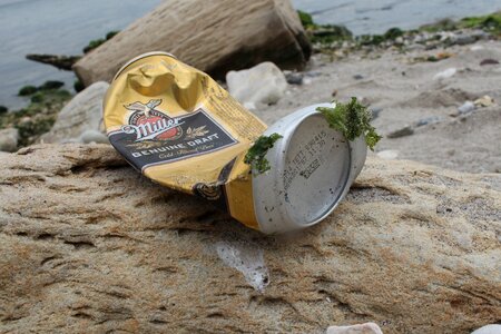 Marine waste moss