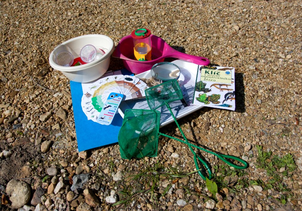 Research wetland water