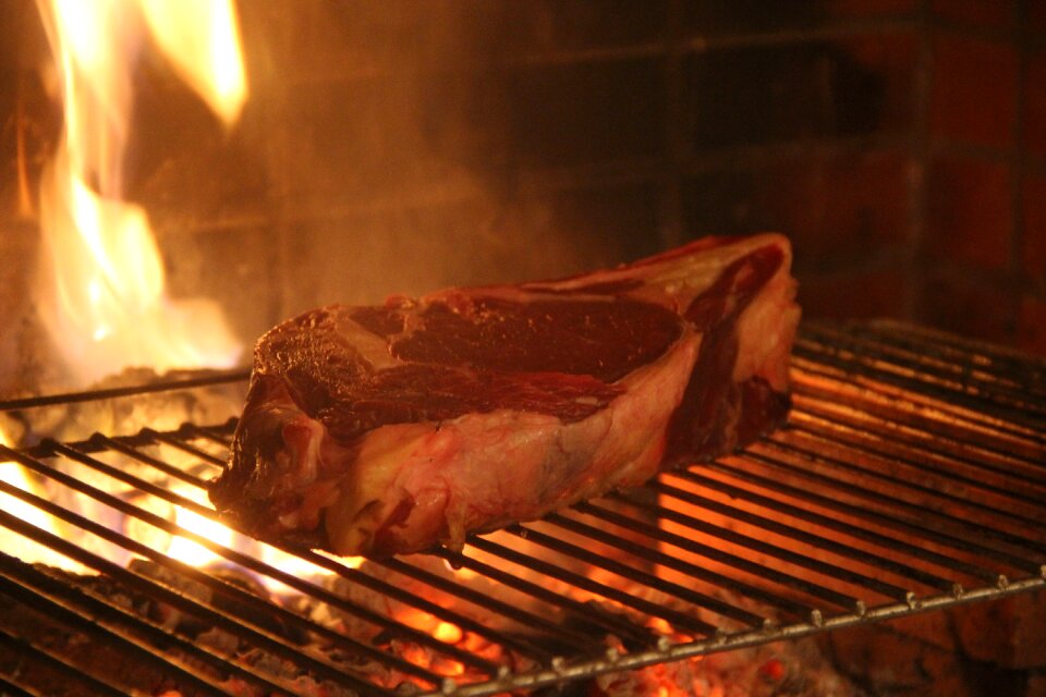 Fire barbecue fireplace