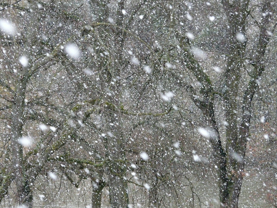 Blizzard winter flake