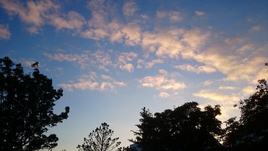 Trees clouds blue sky