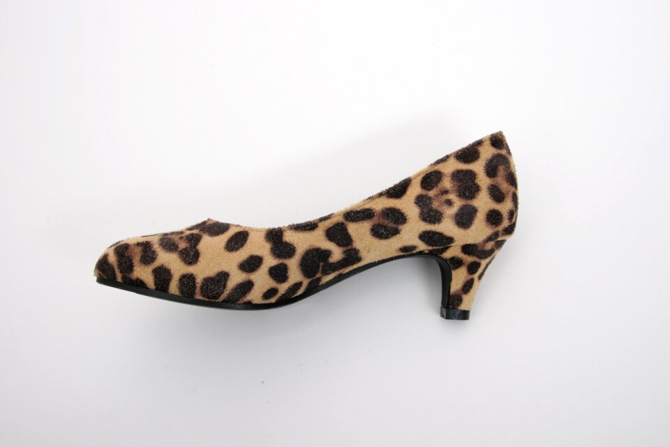 Women's shoe leopard