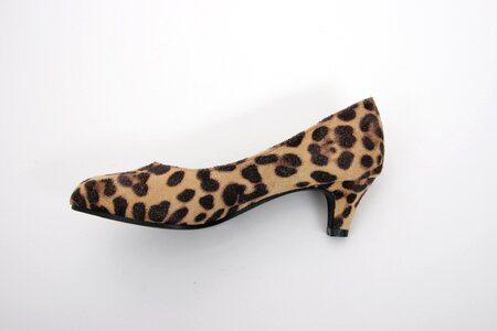 Women's shoe leopard