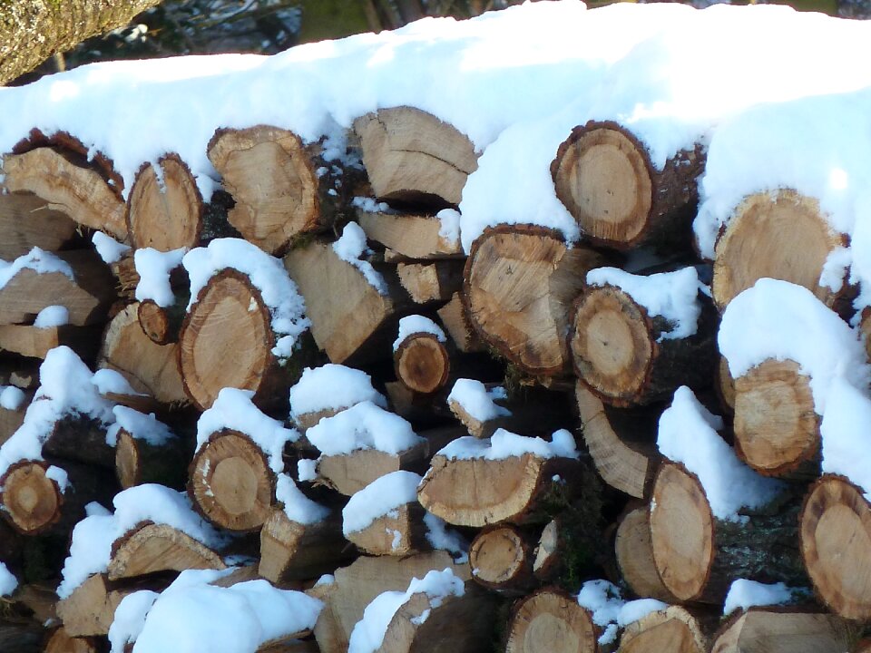 Nature log snowy