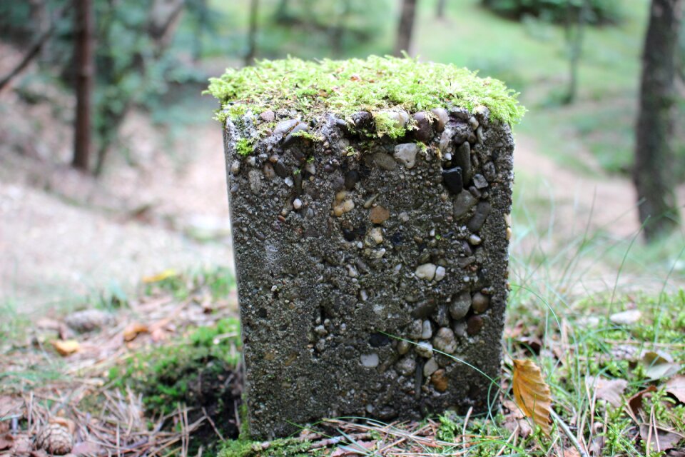 Stone nature