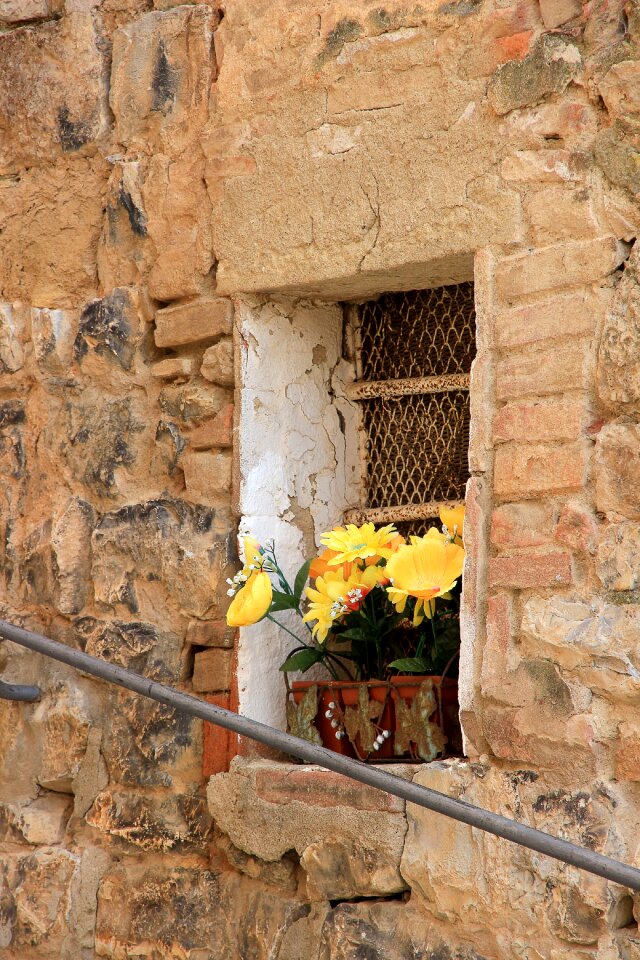 Picturesque flower box still life