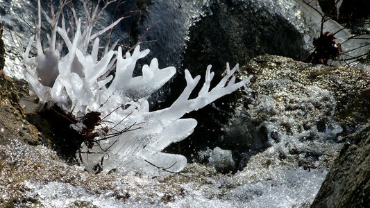 Cold mountain gel
