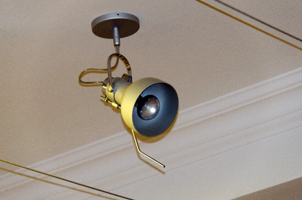 Ceiling luminaire lightbulb swivel