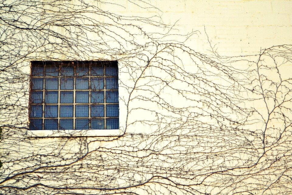 Tendril building creeping