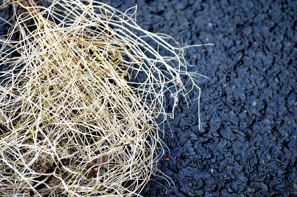 Background yellow asphalt