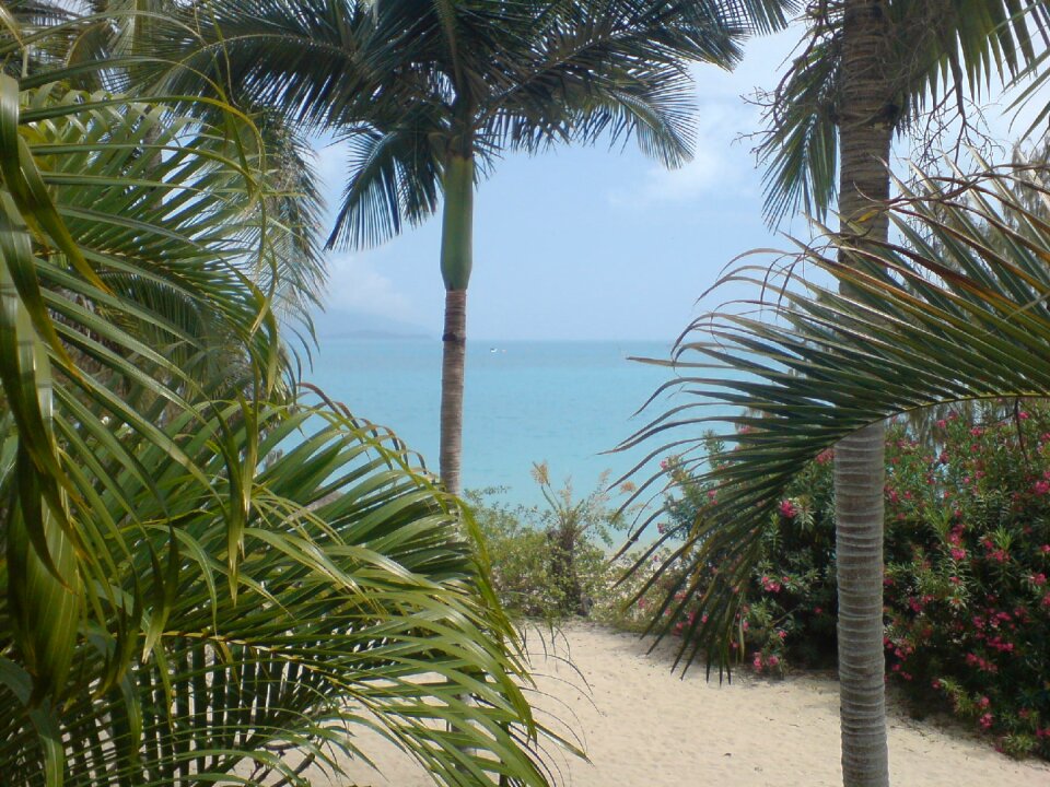 Summer tropical sea