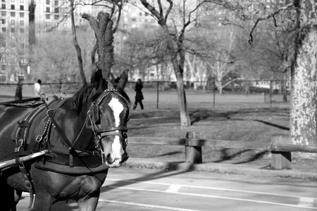 Park romantic