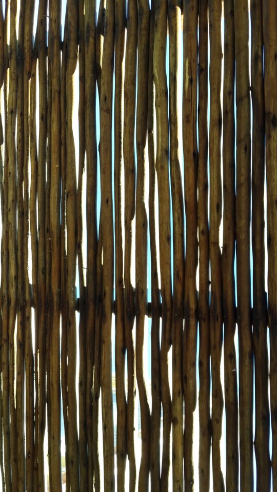 Wooden screen fence