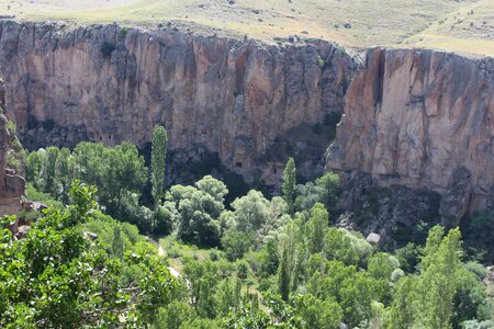 Cappadocia tree solar